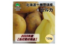 北海道十勝豊頃産 ピルカ10kg【2025年産】（先行受付）［安田農場］