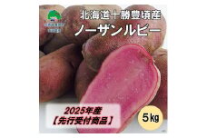 北海道十勝豊頃産 ノーザンルビー5kg【2025年産】（先行受付）［安田農場］