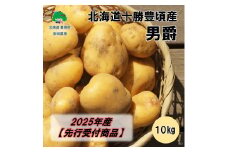 北海道十勝豊頃産 男爵10kg【2025年産】（先行受付）［安田農場］