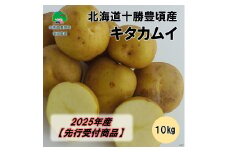 北海道十勝豊頃産 キタカムイ約10kg【2025年産】（先行受付）［安田農場］