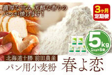 3ヶ月定期便 北海道十勝前田農産パン用小麦粉「春よ恋」5kg【3ヶ月】有限会社 十勝太陽ファーム 《お申込み月の翌月から出荷開始》送料無料 北海道 本別町