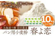 北海道十勝前田農産パン用小麦粉「春よ恋」1kg×10袋 計10袋 有限会社 十勝太陽ファーム 送料無料 北海道 本別町《60日以内に出荷予定(土日祝除く)》北海道 本別町 パン 小麦粉 小麦 10kg 送料無料