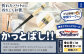 かっとばし!!　プロ野球球団マーク入り箸　1膳入り　東京ヤクルトスワローズ【X011】
