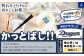 かっとばし!!　プロ野球球団マーク入り箸　1膳入り　中日ドラゴンズ【X013】