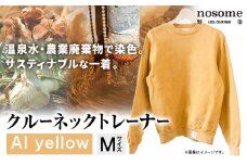【M:サイズ】野の色を着る。温泉水・農業廃棄物で染色したクルーネックトレーナー AI yellow 合同会社nosome《90日以内に出荷予定(土日祝除く)》 送料無料 服 ファッション クルーネックトレーナー 染め 染色 ギフト レディース メンズ 北海道 本別町