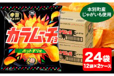本別産原料使用!コイケヤ カラムーチョチップスホットチリ味 24袋 本別町観光協会 《60日以内に出荷予定(土日祝除く)》北海道 本別町 ポテト ポテトチップス 菓子 スナック スナック菓子 ホットチリ 送料無料