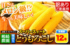 朝採り とうもろこし スーパースィート  「ゴールドラッシュ」  訳あり ご家庭用 12本 《8月上旬-８月末頃出荷》嶋崎農園 送料無料 北海道 本別町北海道 十勝 本別町産 スーパースイート トウモロコシ 一番果 冷蔵便 甘い