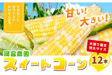 朝採りとうもろこし 河合農園のスイートコーン 12本 特大サイズ(1本380g以上) 河合農園《2025年8月上旬-9月中旬頃出荷》 送料無料 とうもろこし 北海道 本別町 北海道 十勝 本別町産 極甘 特大 バイカラー フルーティー とうきび トウモロコシ 高糖度 