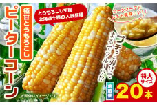 極甘とうもろこし ピーターコーン 20本 特大サイズ(1本380g以上) 高橋賢三《2025年8月上旬-9月中旬頃出荷》 送料無料 北海道 本別町 北海道 十勝 本別町産 極甘 特大 とうもろこし バイカラー フルーティー とうきび トウモロコシ 高糖度 夏野菜 旬