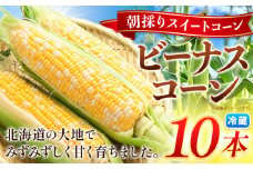 朝採り とうもろこし ビーナスコーン スイートコーン 10本 《8月上旬-8月末頃出荷予定》山下農場 バイカラー 大粒 コーン トウモロコシ 送料無料 北海道 本別町北海道 十勝 本別町産 冷蔵便 甘い st-p