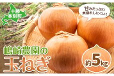 玉ねぎ たまねぎ 玉葱 選べる 約5kg サイズ混合《10月上旬から順次出荷》嶋崎農園  送料無料 北海道 本別町 北海道 十勝 本別町産 オニオン カレー サラダ スープ 野菜