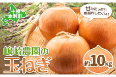玉ねぎ たまねぎ 玉葱 選べる 約10kg サイズ混合《10月上旬から順次出荷》嶋崎農園  送料無料 北海道 本別町 北海道 十勝 本別町産 オニオン カレー サラダ スープ 野菜