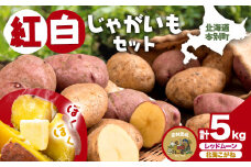 紅白じゃがいも 北海こがね レッドムーン 計5kg 若林農場《30営業日以内に発送予定(土日祝除く)》 送料無料 北海道 本別町 じゃがいも いも 芋 詰め合わせ