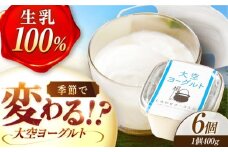 大空ヨーグルト 400g×6個《足寄町》【NPO法人あしょろ観光協会】ヨーグルト 乳製品 牛乳 乳酸菌 免疫力 美味しい 高評価 おすすめ ギフト 足寄町産 北海道産 道産 あしょろ 北海道 [BEAE005]