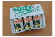 ラワンぶき水煮缶 500g×3缶《足寄町》【NPO法人あしょろ観光協会】ふき フキ ラワンブキ 螺湾ぶき 山菜 水煮 煮物 おでん セット 小分け ギフト 足寄町産 北海道産 道産 あしょろ 北海道 11000 11000円 [BEAE010]
