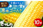 トウモロコシ 新鮮 北海道土産 ゴールド gold 北海道産 足寄町 北海道