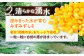 トウモロコシ 新鮮 北海道土産 ゴールド gold 北海道産 足寄町 北海道