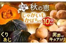 北海道産 じゃがいも＆かぼちゃ 計10kg（じゃがいも6-7kg・かぼちゃ3-4kg）《足寄町》【党崎農場】ジャガイモ じゃがいも 食べ比べ かぼちゃ 野菜 ポテト 芋 イモ いも ハロウィン あしょろ 北海道10000 10000円 [BEAA009]