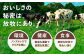 牛乳 生乳 ミルク 農薬不使用 北海道産  北海道