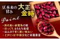 小豆 大納言小豆 黒大豆 大正金時 中長鶉 大粒 詰め合わせ 足寄町 北海道