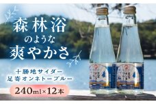 十勝地サイダー「足寄オンネトーブルー」240ml×12本《足寄町》【北十勝ファーム】サイダー 炭酸 炭酸入り 地サイダー レトロ 地元 240ml 十勝 北海道産 道産 あしょろ 北海道 16500 16500円 [BEAI008]