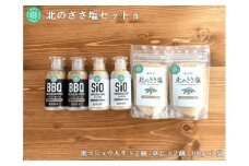 北のささ塩 Aセット（北のささ塩100g×2袋・SIO75g×2本・BBQ75g×2本）《足寄町》【株式会社北のささ】塩 しお ソルト 卓上 黒コショウ 料理 調味料 おにぎり アウトドア 北海道産 あしょろ 北海道 [BEAR003]