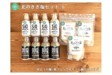 北のささ塩 Bセット（北のささ塩100g×3袋・SIO75g×4本・BBQ75g×4本）《足寄町》【株式会社北のささ】塩 しお ソルト 卓上 黒コショウ 料理 調味料 おにぎり アウトドア 北海道産 あしょろ 北海道 19000 19000円 [BEAR004]