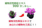 植物 観葉植物 鉢花 切り花 種まき 植え付け 足寄町 北海道  
