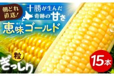 北海道 朝もぎ とうもろこし 15本（恵味ゴールド）《足寄町》【党崎農場】 トウモロコシ 甘い 野菜 採れたて野菜 13000 13000円 [BEAA004]