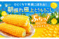 ひとくちで笑顔こぼれる！朝どれ極上とうもろこし 「ぷちっ！はじけるみずみずしさ」