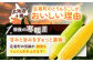 昼夜の寒暖差で甘みと旨味をぎゅっと凝縮！