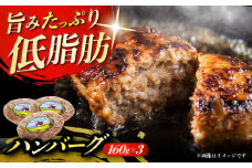 北海道 北十勝 短角牛 ハンバーグ 160g×3個《足寄町》【北十勝ファーム】肉 ハンバーグ 牛肉 赤身 和牛 160g ギフト 十勝 北海道産 道産 あしょろ 北海道 11300 11300円 [BEAI004]