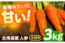 北海道 にんじん 3kg（土付き）《足寄町》【餌取農場】 北海道産 甘い 人参 野菜 根菜 ニンジン 3kg 道産 キャロット 糖度高め サラダ ジュース 生鮮野 北海道産 菜 あしょろ 足寄 9000 9000円 [BEBA002]