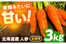 北海道 にんじん 3kg（土付き）《足寄町》【餌取農場】 北海道産 甘い 人参 野菜 根菜 ニンジン 3kg 道産 キャロット 糖度高め サラダ ジュース 生鮮野 北海道産 菜 あしょろ 足寄 [BEBA002]