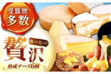 【全6回定期便】北海道 チーズ 6種《足寄町》【しあわせチーズ工房】定期便 チーズ ナチュラルチーズ ハード ラクレット 生乳 ミルク 乳製品 おつまみ ギフト 食べ比べ 北海道産 あしょろ 167400 167400円 [BEAK030]