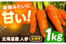北海道 にんじん 1kg（土付き）《足寄町》【餌取農場】 北海道産 甘い 人参 野菜 根菜 ニンジン 1kg 道産 キャロット 糖度高め サラダ ジュース 生鮮野 北海道産 菜 あしょろ 足寄 5100 5100円 [BEBA001]