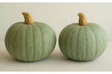 北海道 かぼちゃ とっておき 2個 《足寄町》【足寄アグリバイオ株式会社】 かぼちゃ カボチャ とっておき ハロウィン グラタン スープ 旬 新鮮 北海道産 道産 寒冷地 あしょろ 5400 5400円 [BEAC010]