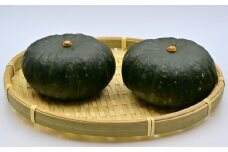 北海道 かぼちゃ 特濃こふき 2個 《足寄町》【足寄アグリバイオ株式会社】 かぼちゃ カボチャ 特濃こふき ハロウィン グラタン スープ 旬 新鮮 北海道産 道産 寒冷地 あしょろ [BEAC011]