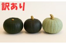 北海道 かぼちゃ 訳あり ダークホース・とっておき・特濃こふき 3種類×1個 《足寄町》【足寄アグリバイオ株式会社】かぼちゃ カボチャ ダークホース とっておき 特濃こふき 訳あり 規格外 傷 キズ ハロウィン グラタン スープ 旬 新鮮 北海道産 道産 寒冷地 あしょろ 6700 6700円 [BEAC014]