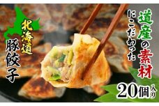熊笹餃子 雫包(しずづつみ) 20個《足寄町》【株式会社北のささ】中華 ぎょうざ ギョーザ 冷凍餃子 焼餃子 おかず おつまみ 惣菜 天心 お取り寄せ 肉汁 国産 ギフト 冷凍食品 クマザサエキス配合 ささ塩配合 あしょろ 北海道 [BEAR014]