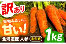 北海道 訳ありにんじん 1kg（土付き）《足寄町》【餌取農場】 北海道産 甘い 訳あり 規格外 キズ 傷 人参 野菜 根菜 ニンジン 1kg 道産 キャロット 糖度高め サラダ ジュース 生鮮野菜 北海道産 あしょろ 足寄 4300 4300円 [BEBA003]