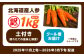 北海道産 甘い 人参 野菜 根菜 ニンジン 糖度高め サラダ 規格外 訳あり 