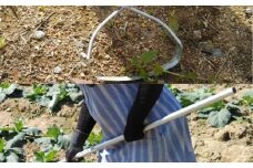 手取り除草機　Qホー（17cm）　《足寄町》【株式会社キュウホー】除草具 農具 草取り 草刈り 農業 農作業 のうさぎょう ガーデニング 庭 園芸 掃除 花 草 雑草 30500 30500円 [BEBH001]