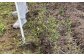 除草具 農具 草取り 草刈り 農業 農作業 ガーデニング 庭 園芸 花 雑草 