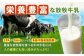 アイス アイスクリーム ラクトアイス 牛乳 生乳 朝搾り 北海道