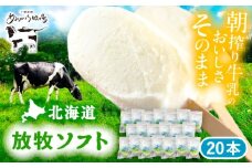 北海道 朝搾り 放牧ソフト 80ml×20本　《足寄町》【ありがとう牧場】アイス アイスクリーム ラクトアイス 牛乳 生乳 ミルク 濃厚 朝搾り 足寄町産 北海道産 道産 あしょろ 20000 20000円 [BEAH012]