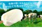 アイス ラクトアイス ソフト おすすめ 人気 牛乳 生乳 ミルク 朝搾り 北海道