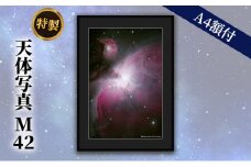 特製 天体写真(A4額付)M42