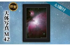 特製 天体写真(A3額付)M42