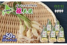 発芽にんにく 北海道産 ガーリックスプラウト姫美健 計50本 (10本入×5パック) にんにく ガーリック 野菜 健康